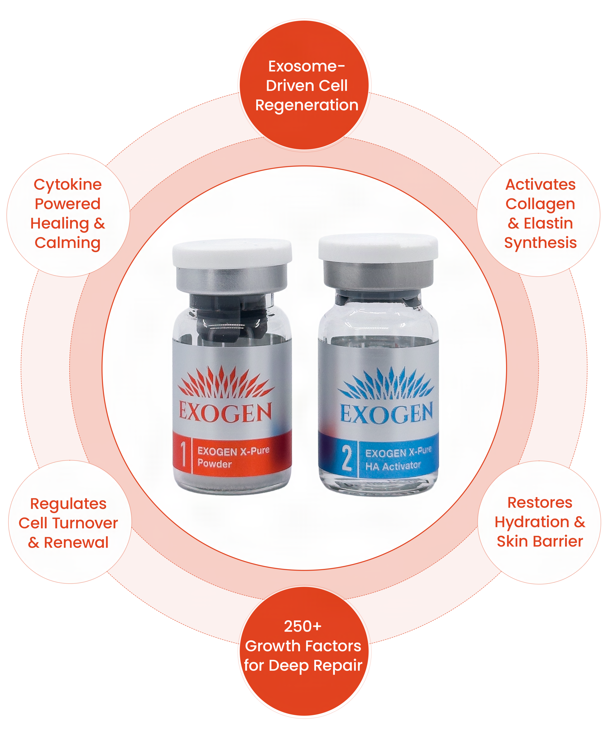EXOGEN Exosome benefits