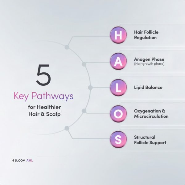 H Bloom AHL with HALOS - Image 4