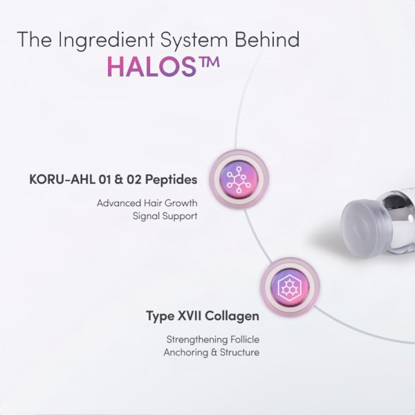 H Bloom AHL with HALOS - Image 2